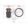Facet 7.8420 Thermostat d'eau