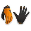 Bluegrass Gants Union