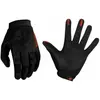 Bluegrass Gants React