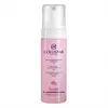 Collistar Face Care Soothing Cleansing Foam Mousse nettoyante visage 1000 ml