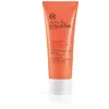 Collistar Attivi Puri Vitamin C + Polyhydroxy Acid Gel-Mask masque gel...