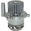 Saleri PA1049 POMPE A EAU SALERI