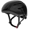 Salice Casque Ice