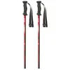 Masters Bâtons Rental Carbon