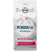 Forza 10 Active Line Intestinal Active pour chien - 10 kg