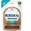 12x80g Forza 10 Intestinal Colon Active Vet Diet Poisson blanc nourrit...