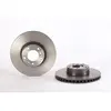 Jeu de 2 disques de frein vernis BREMBO 09.5579.21 - Réf. 1394611