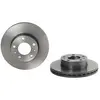 Jeu de 2 disques de frein vernis BREMBO 09.D017.11 - Réf. 1393838