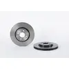 Jeu de 2 disques de frein vernis BREMBO 09.8137.21 - Réf. 1394168