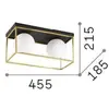 Ideallux Ideal Lux plafonnier Lingotto, à 2 lampes, noir, verre opalin