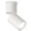 Ideallux Ideal Lux Toby plafonnier tête réglable blanc
