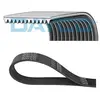 Courroie trapézoïdale à nervures DAYCO 12PK1835HD