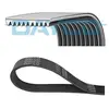 Courroie trapézoïdale à nervures DAYCO 10PK1512SHD