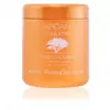 Argan Sublime Argan Oil Mask - Farmavita Soins capillaires 1000 ml