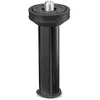 Manfrotto colonne courte bfrsccbefree