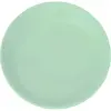 Assiette Plate Incassable Vert Pastel ø 27,5cm