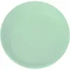 Assiette Plate Incassable Vert Pastel ø 21cm
