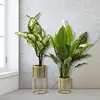 MAURO FERRETTI Support à plantes en métal - Lot de 2 - Doré - Modèle 1 - 21x40 cm et 19x22 cm