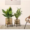 Mauro Ferretti - 2 Porte-plante multicolores T.U