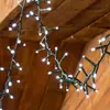 LOTTI Catena minicluster 20.5M 1000LEDS with memory controller, cavo green, 24V, esterno cool light luminalpark