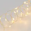 Guirlande lumineuse argentée 400 microleds  blanc chaud - lotti