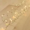 Guirlande lumineuse piles 4M 40 Micro LED blanc chaud fixe câble argen...