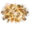 Slamp Clizia Applique murale E14, CLIWM00GNM00000000EU,