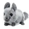 Plush&Company Peluche cochon d'Inde Nijole 20 cm