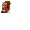 TOYLAND Plush & Company - 15736 - Peluche - Hazely Ecureuil Assis - 23 cm