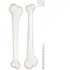RUE DE LA FETE Lot de 2 os géants WIDMANN pour déguisements - Accessoire pour carnaval et soirées déguisées - Mixte - Blanc