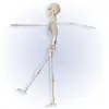 Squelette 3D -40 cm