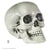 Widmann 01379 ? Tête de Mort en Plastique Taille Env. 21 cm