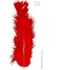 WIDMANN Sachet De 50 Plumes Rouges