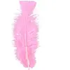 RueDeLaFete Sachet De 50 Plumes Roses Pastel