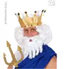 Vegaoo Perruque - WIDMANN - Olympian - Adulte - Homme - Intérieur - Blanc