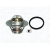 Thermostat MAGNETI MARELLI 352317101020