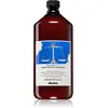 Davines Ntech Shampooing Régulateur 1000 ml