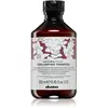 Shampoing restructurant Replumping                                - Davines