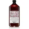 DAVINES Davines Naturaltech Replumping Après-Shampoing Hydratant Pour Des Cheveux Faciles À Démêler 1000 Ml