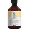 Shampoing Purifiant Naturaltech                                - Davines