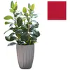 SLIDE vase STAR H 59 cm (Rouge - Polyéthylène)