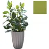 SLIDE vase STAR H 59 cm (Citron vert - Polyéthylène)