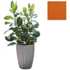 Slide Vase Star H 59 Cm (Orange - Polyéthylène)