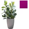 Slide Vase Star H 59 Cm (Fuchsia - Polyéthylène)