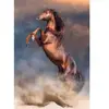 Clementoni Puzzle 500 pièces : Etalon Rouge Sauvage