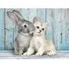 Clementoni puzzle Chat et High Qualitylapin 500 pièces