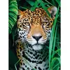 Puzzle Jaguar dans la jungle - CLEMENTONI - 500 pièces - Dimensions 49x39cm