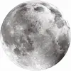 Puzzle de 500 pièces Clementoni Nasa TU