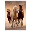 Clementoni - Puzzle - Chevaux sauvages - 1000 pièces - 67,7 x 47,7 cm - Fabriqué en Italie