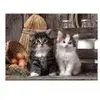 Clementoni - 39340 - Puzzle - High Quality Collection - Gattini - 1000 Pièces